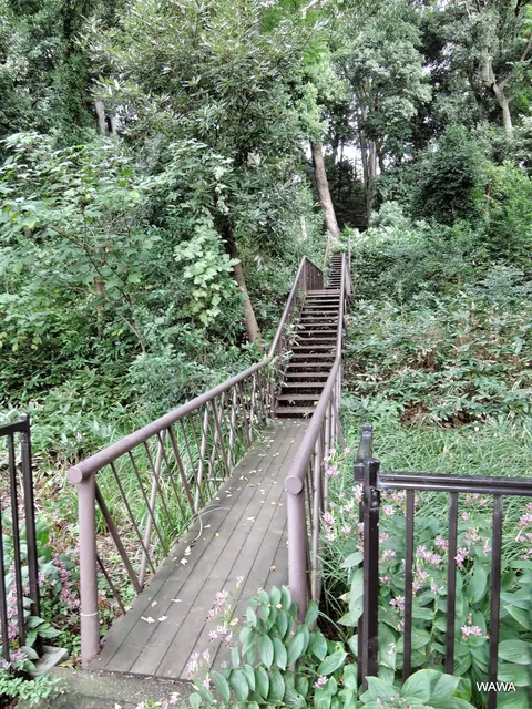 Kaminoge Nature Park