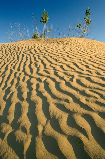 Great Sandhills Museum & Interpretive Centre