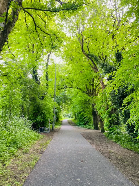 Baggot Estate Nature Park