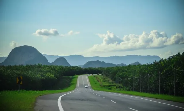 Katsuyama Dinosaur Forest Nagaoyama Park