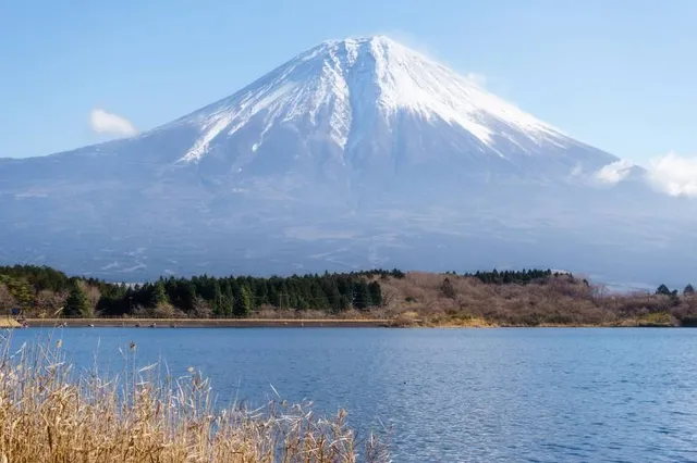 Tanuki Observation Deck