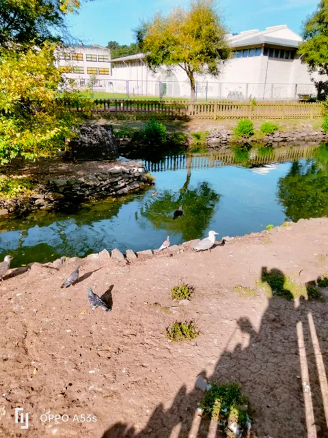 Parque Alfonso Iglesias