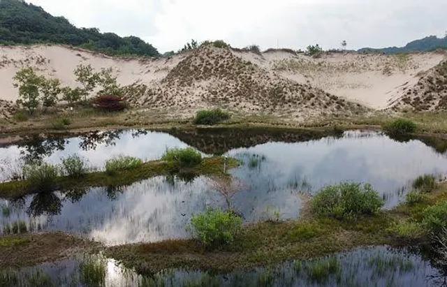 Kitchel/Lindquist/Hartger Dunes Preserve
