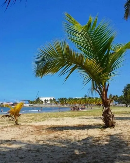 Playa El Palito