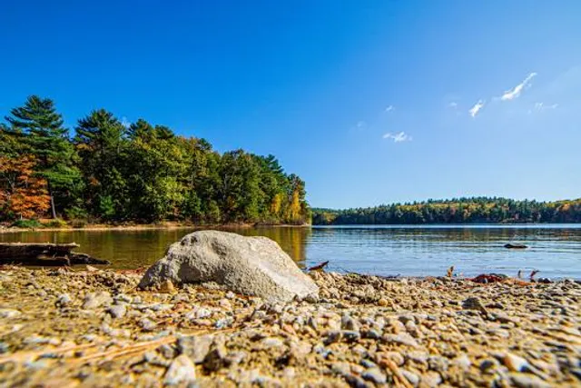 Walden Pond State Reservation