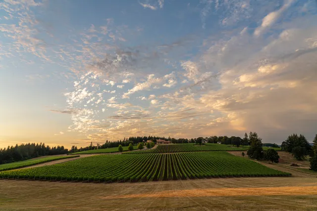 Domaine Serene Winery