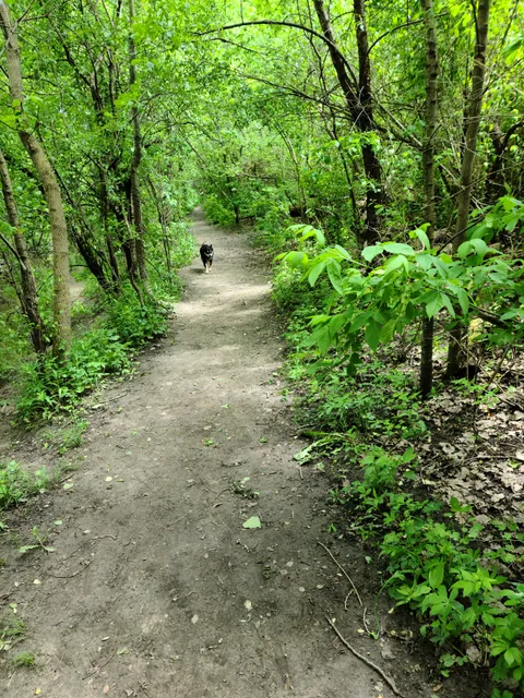 Lake Forest Open Lands: Skokie River Nature Preserve