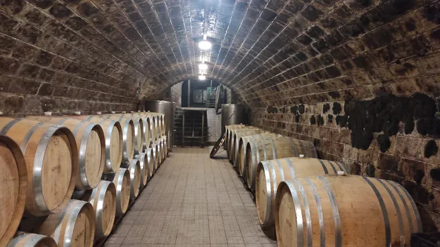 Szőke Mátyás Pincészet borvacsora és borkóstoló, céges rendezvény, csapatépítés,Borturizmus