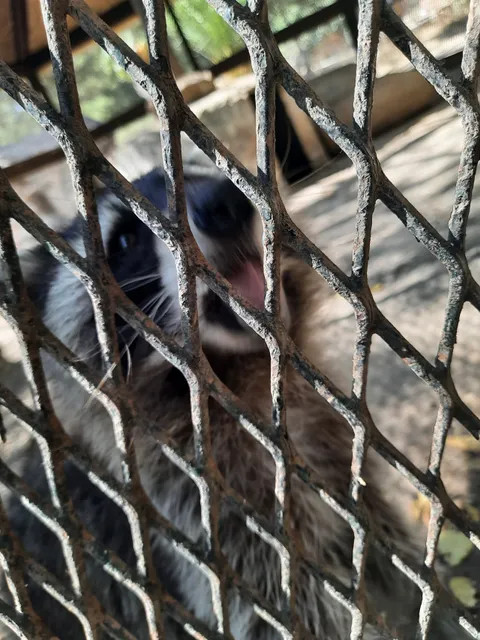 Ben Aknoun d'attraction