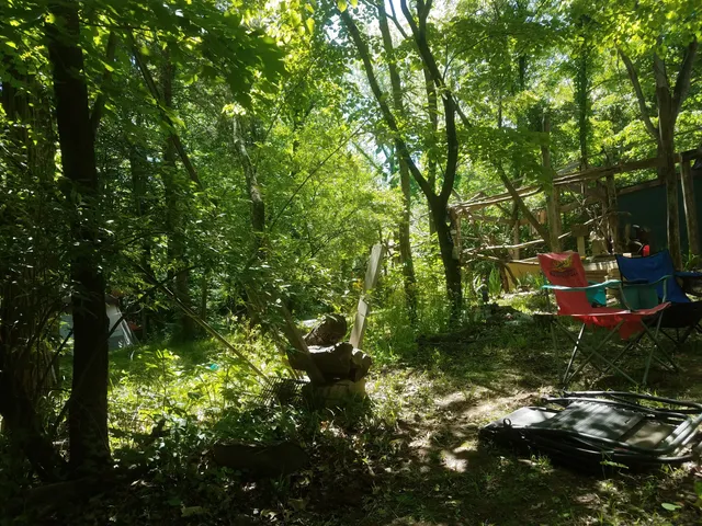 Lothlorien Nature Sanctuary