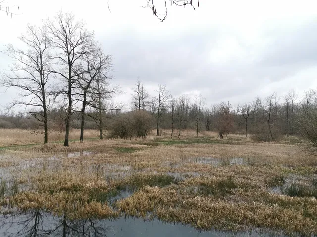 Natuurgebied Lovenhoek