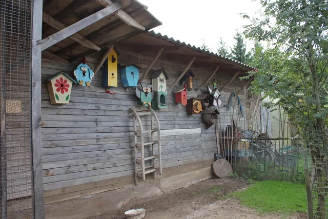 photo-1