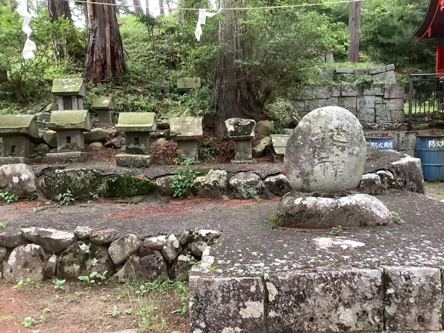 photo-1
