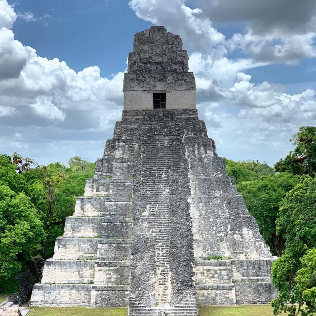 Biotopo Protegido San Miguel La Palotada El Zotz