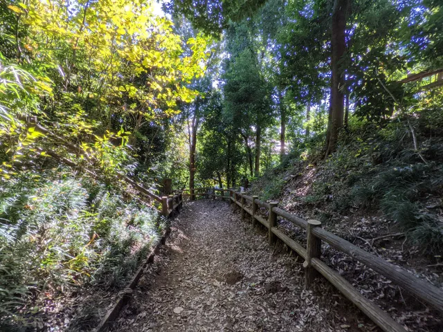 Ruins of Shiroyama Fort