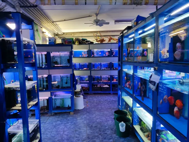 Aquaristik- und Teichwelt Wilhelmi