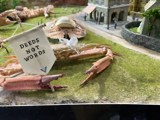 Crab Museum