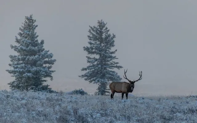 Red House Beach at Allegany State Park