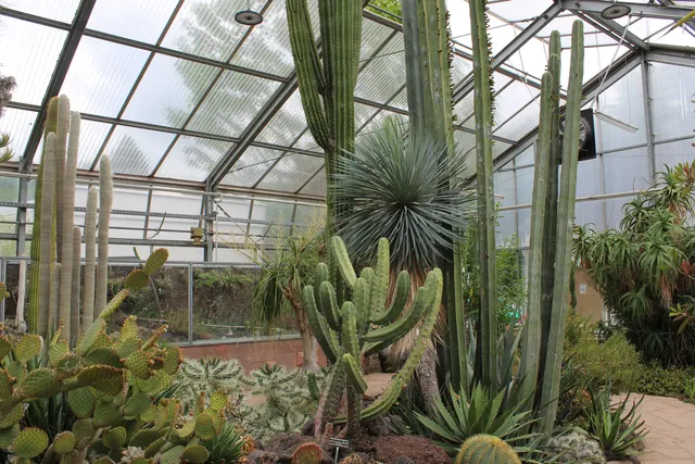 Botanischer Garten Chemnitz