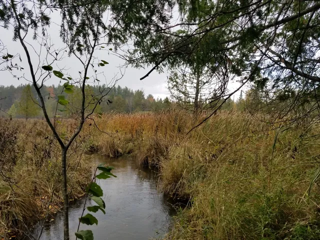 Cedar River Natural Area