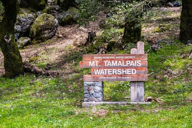 Mount Tamalpais Watershed