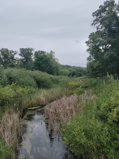 Scuppernong Springs Nature Trail