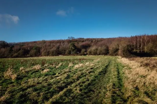 Sinai Park House Trust