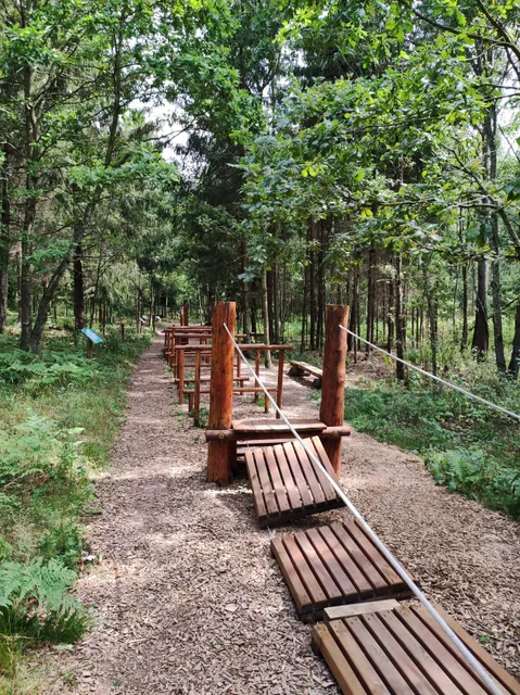 Ekotropa Volshebnyy Mir Zavitanskogo Lesa.