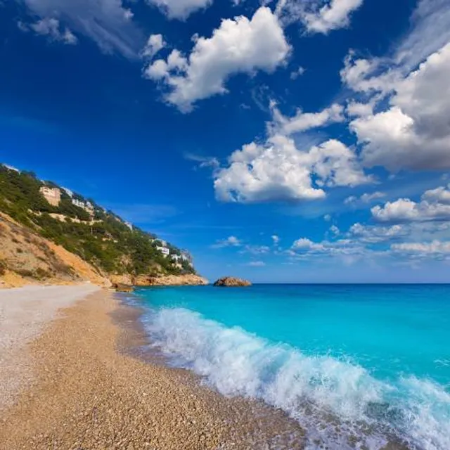 East Coast Natureworld