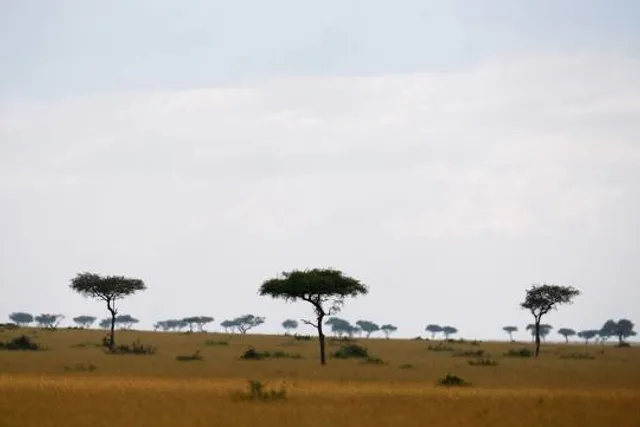 Nature Kenya