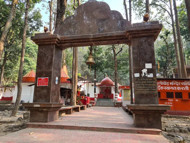 photo-1