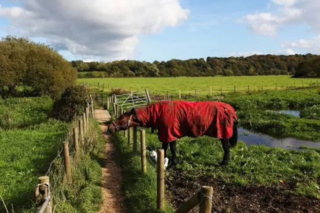 Avon Valley Adventure & Wildlife Park