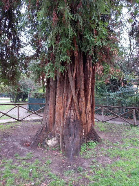 Giardino Vittorio Melloni