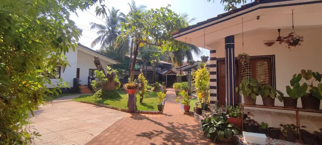 The Lost Tribe Hostels