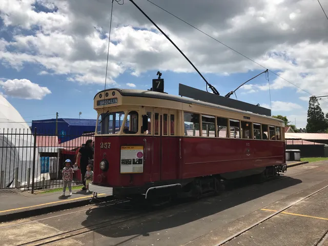 Trams at Motat and Zoo