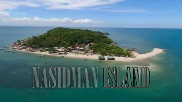 Nasidman Island