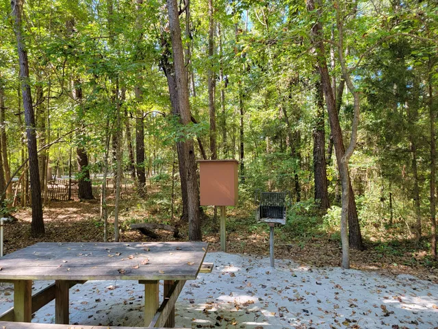 Givhans Ferry State Park