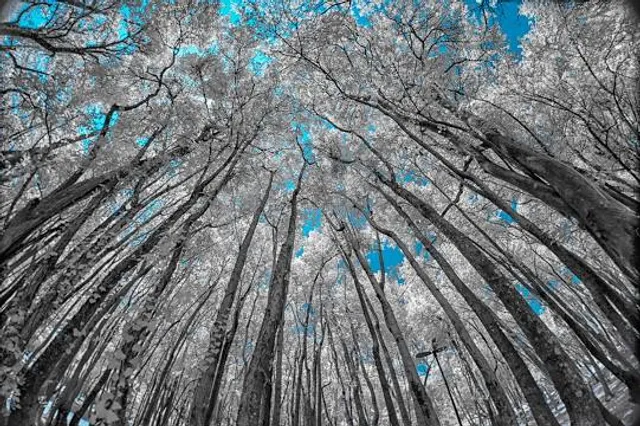 Museo delle Valli di Argenta