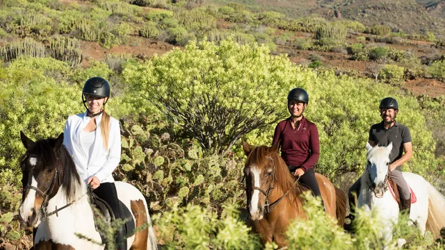 El Salobre Horse Riding