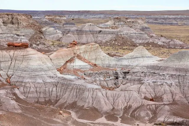 Rainbow Forest Museum and Visitor Center