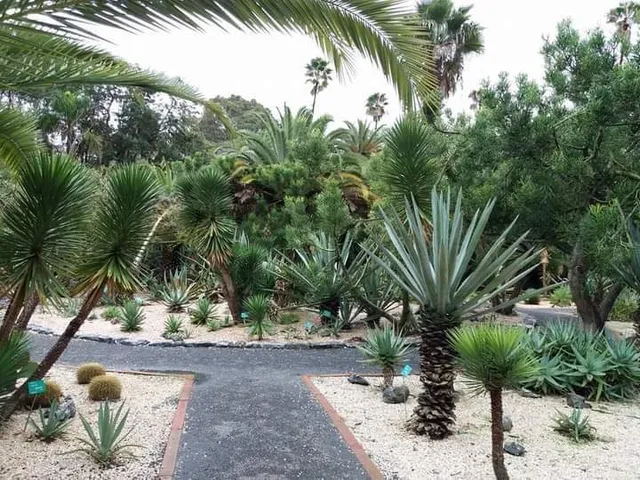Botanical Garden
