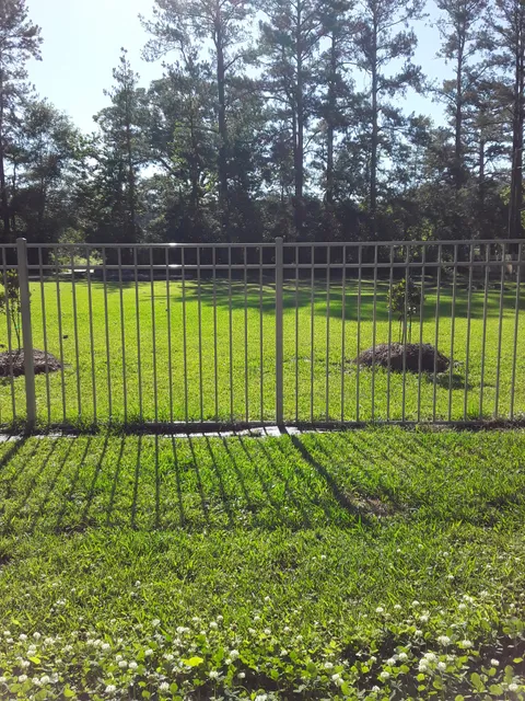 Kisatchie National Forest