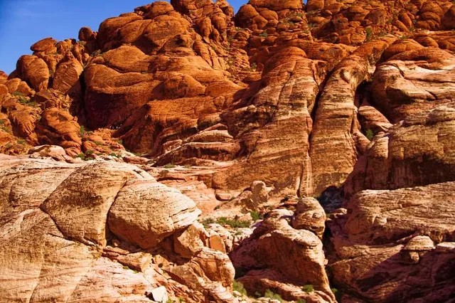 Red Rock Canyon National Conservation Area