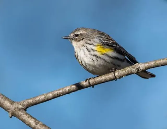 Spring Valley Wildlife Area