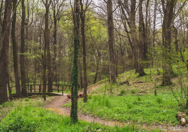 Ouabache Trails Park