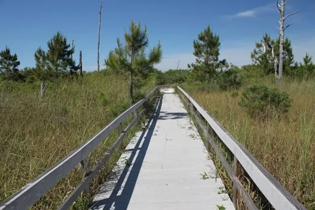 Marsh Trail - Ten Thousand Islands NWR