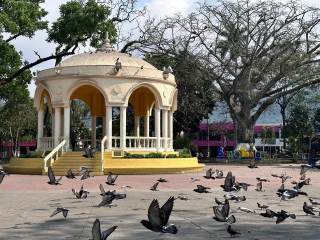 Daniel Hernández Park