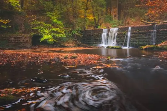 Gore Glen Woodland Park