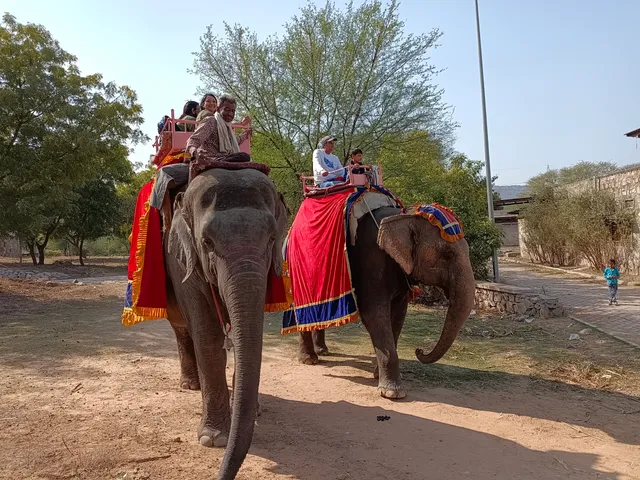 Jaipur Elephant Park
