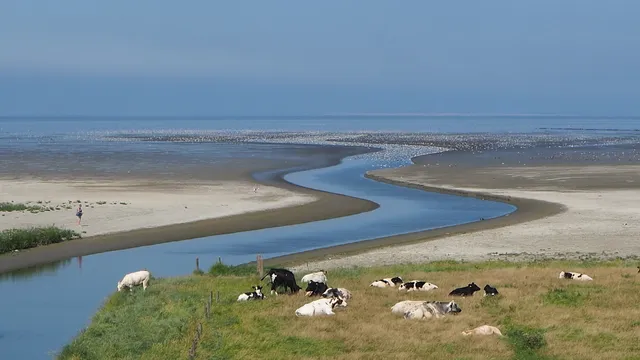 Unesco Waddenzee